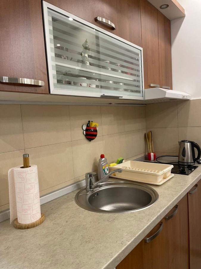 Vesna Apartman Vrnjačka Banja エクステリア 写真