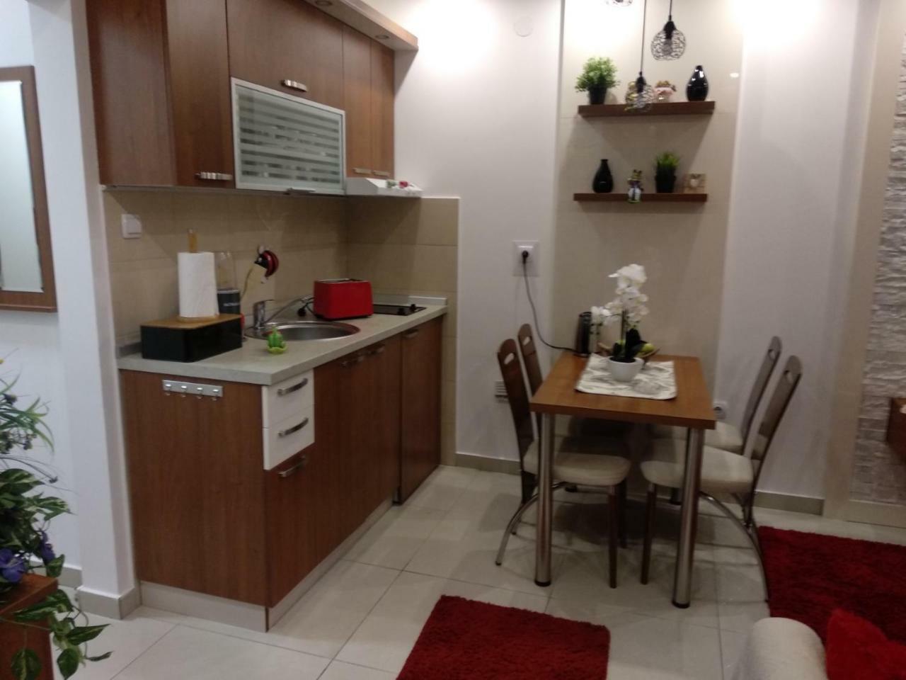 Vesna Apartman Vrnjačka Banja エクステリア 写真